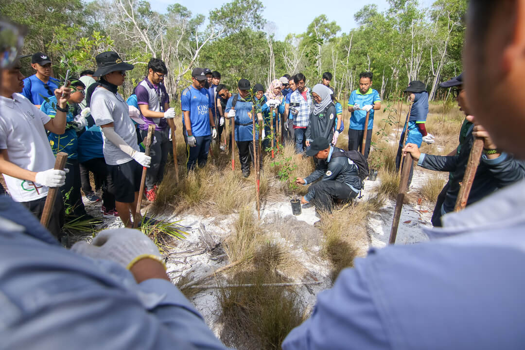 Hengyi Industries Contributes to Increasing Brunei’s Carbon Sink with 5 th Reforestation Project