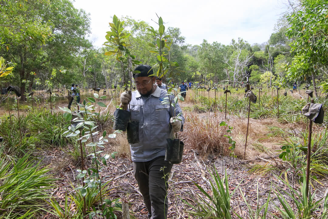 Hengyi Industries Contributes to Increasing Brunei’s Carbon Sink with 5 th Reforestation Project